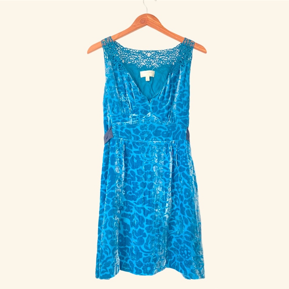 Velvet Dress